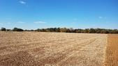 Enlarge photo 154
