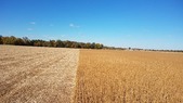 Enlarge photo 42