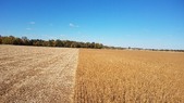 Enlarge photo 155