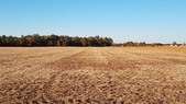 Enlarge photo 44