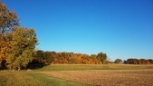 Enlarge photo 55