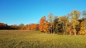 Enlarge photo 56