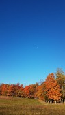 Enlarge photo 57