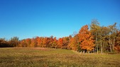 Enlarge photo 58
