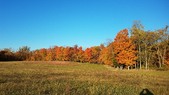 Enlarge photo 59