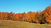 Enlarge photo 60
