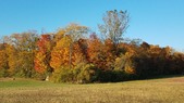 Enlarge photo 61