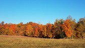 Enlarge photo 62