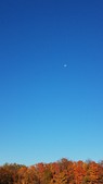 Enlarge photo 63