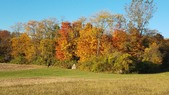 Enlarge photo 64
