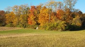 Enlarge photo 65