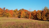 Enlarge photo 67