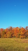 Enlarge photo 66