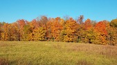 Enlarge photo 69