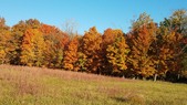 Enlarge photo 68