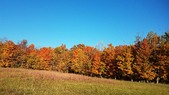 Enlarge photo 70