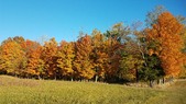 Enlarge photo 71