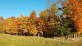 Enlarge photo 72
