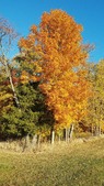 Enlarge photo 73