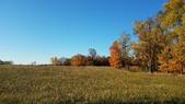 Enlarge photo 76