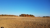 Enlarge photo 77