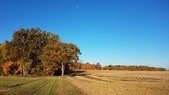 Enlarge photo 158