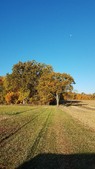 Enlarge photo 79