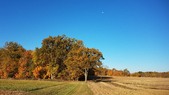 Enlarge photo 80