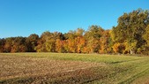 Enlarge photo 159