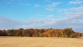 Enlarge photo 86