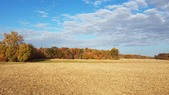 Enlarge photo 160