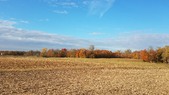 Enlarge photo 87
