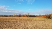 Enlarge photo 161