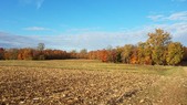 Enlarge photo 162