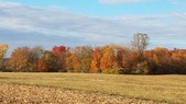 Enlarge photo 88