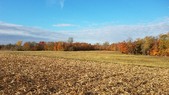 Enlarge photo 89