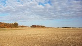 Enlarge photo 164