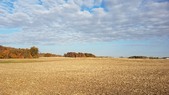 Enlarge photo 90