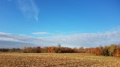 Enlarge photo 165
