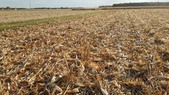 Enlarge photo 166
