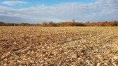 Enlarge photo 91