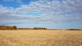Enlarge photo 92