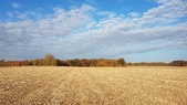Enlarge photo 93