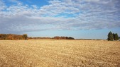 Enlarge photo 94