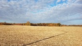 Enlarge photo 95