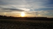 Enlarge photo 107