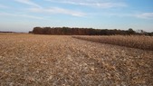Enlarge photo 97