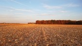 Enlarge photo 98