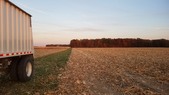 Enlarge photo 99