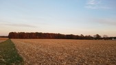 Enlarge photo 100